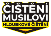 Hloubkové čištění Lípa logo